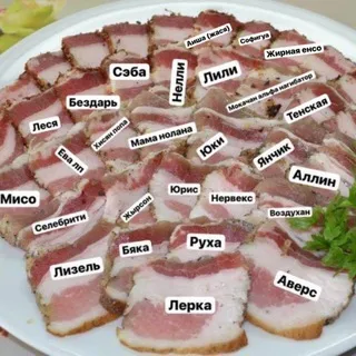 Салти чат 🤎