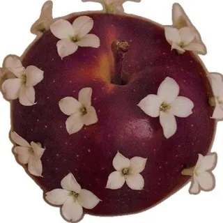 яблочник🍎