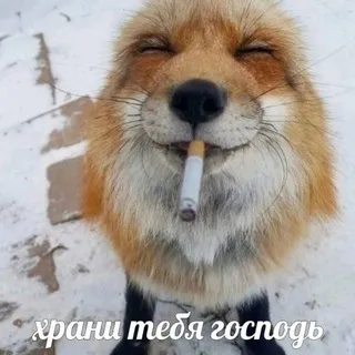 Крюков ?