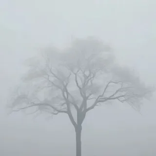 MIRACLE