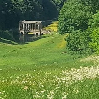 midday meadow