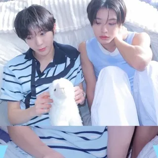 chi(kuri) wishful ‘ 日本