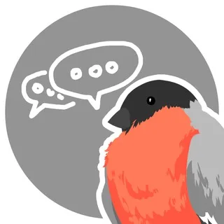 "The Bullfinch Team" Chat