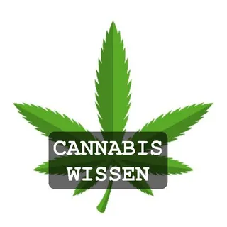 Cannabis Wissen