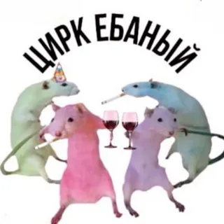 KXdaya [Рест]