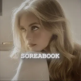 𝙨𝙤𝙧𝙚𝙖𝙗𝙤𝙤𝙠