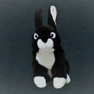 Hase du bleibst hier !! Diskurs