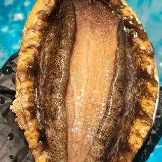 深圳海鲜楼