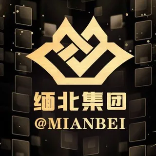 缅北集团汇总导航