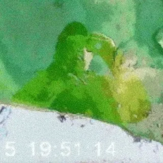 ык