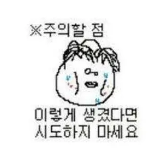 도태솔로 갤러리