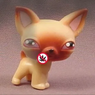 .калкишкá ЩИТПОСТ