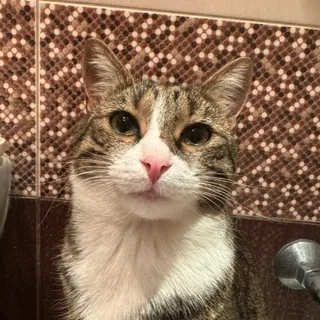 Супчик