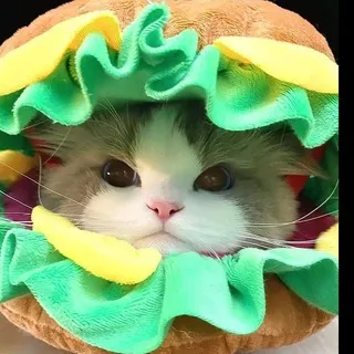 Закулисье Дани (Rake)🥰