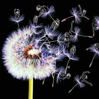 Puste Blume - Portal