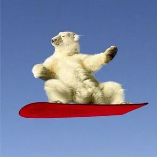 Сетка Hypovoz