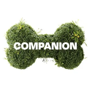 Companion | амуниция для питомцев