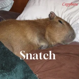 Снэтч