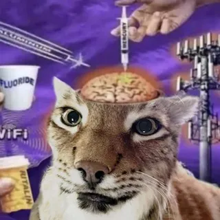Bobcat Pocket Dimension