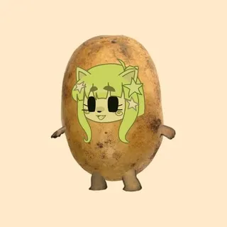 ≽^- ˕ -^≼