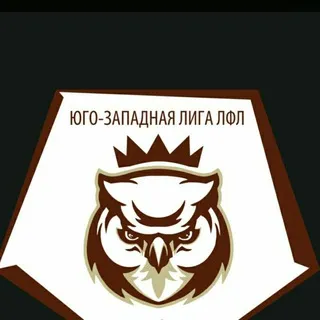 ЛФЛ ЮЗАО