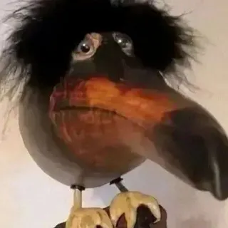 рыбовый склад 𓆟