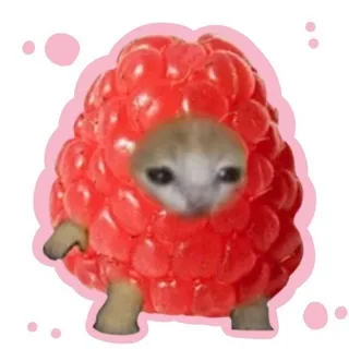 .. Убежище Малинки☺️🍓