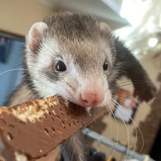 Эван вещает