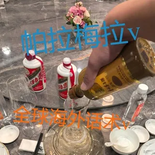 帕拉梅拉/全球海外话术/