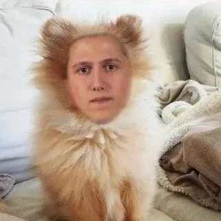 Pankuha 💥