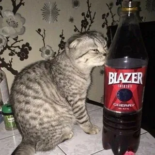 завод блейзера