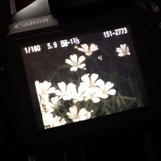 Чайная Студия🍵🍃