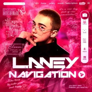LANEY