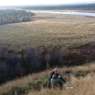 Заметки в полях