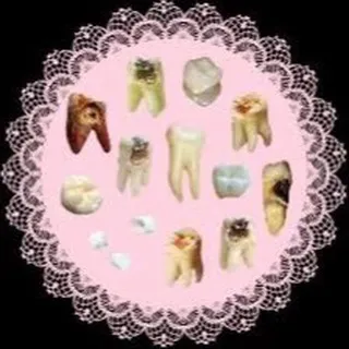 🎀Анатомический театр Такумо🎀