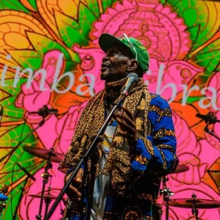 Simba Vibration