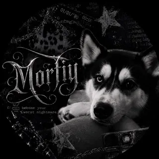 ❦ᴍᴏʀғɪʏ/морфий