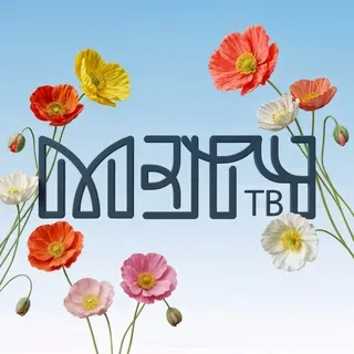 МЭТЧ