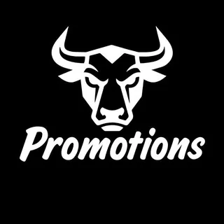 Bulls Promotional Agency