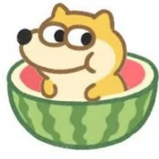 🍉吃瓜大本营🍉