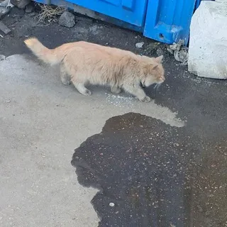 ㅤㅤㅤㅤㅤㅤㅤㅤㅤ