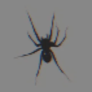 C͇o͇c͇o͇n͇u͇t͇ V͇i͇r͇u͇s͇'͇ B͇a͇c͇k͇r͇o͇o͇m͇ 🕷