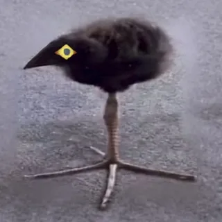 смердящая труба