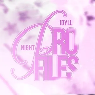 🔮 ₊⊹ 𝗡𝗜𝗚𝗛𝗧 𝗜𝗗𝗬𝗟𝗟 : 𝑝𝑟𝑜𝑓𝑖𝑙𝑒𝑠