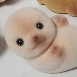 сонкоэ
