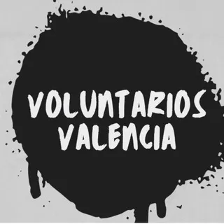 VOLUNTARIOS LA DANA VALENCIA
