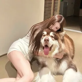 与精英女骑士艾西斯