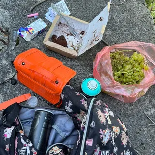 привет просвет