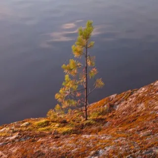 ⋆˚꩜｡Гиʍн нᴇудᴀчниᴋᴏʙ｡꩜˚⋆