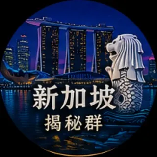 🇸🇬新加坡华人吃瓜群